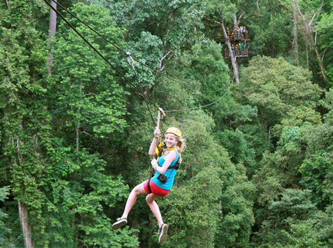 Jungle Flight Zipline