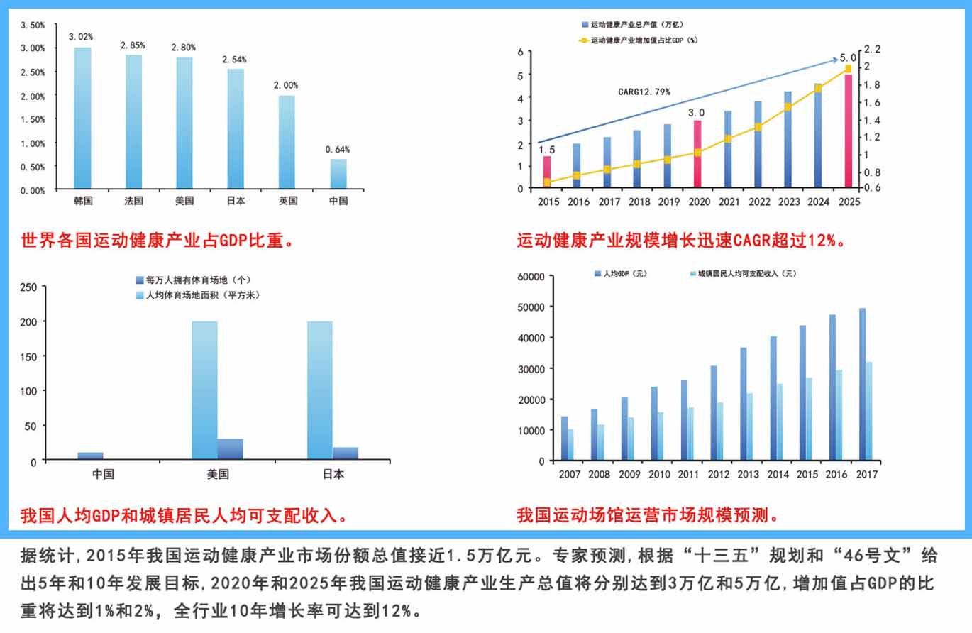 行业分析